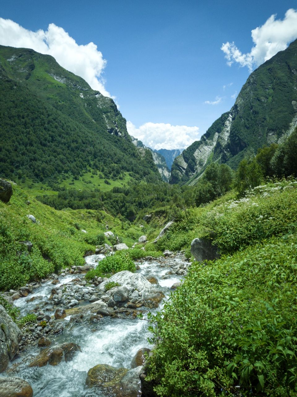 Photo of Valley of flowers Trek (Unforgettable experience) #viewfromthetop by Anant Singh Rajput
