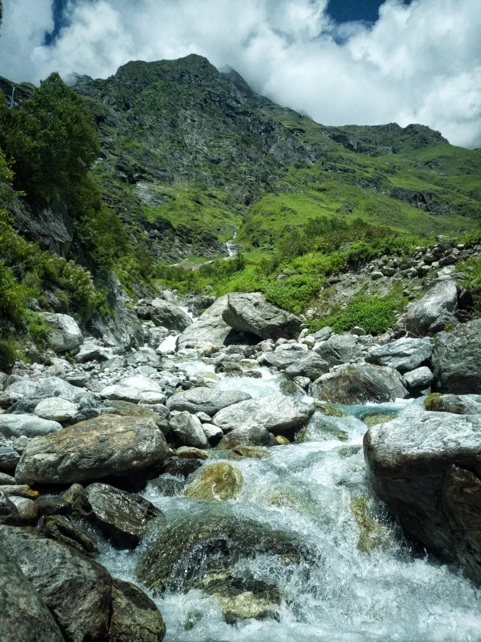 Photo of Valley of flowers Trek (Unforgettable experience) #viewfromthetop by Anant Singh Rajput