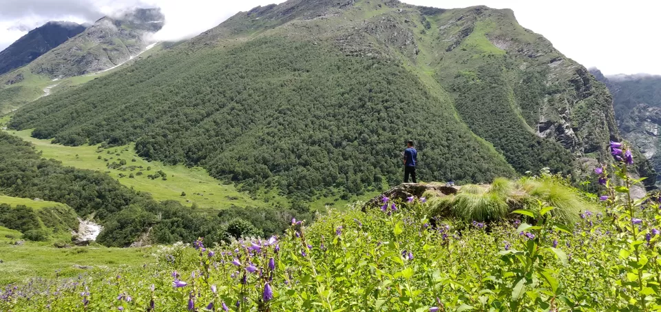 Photo of Valley of flowers Trek (Unforgettable experience) #viewfromthetop by Anant Singh Rajput