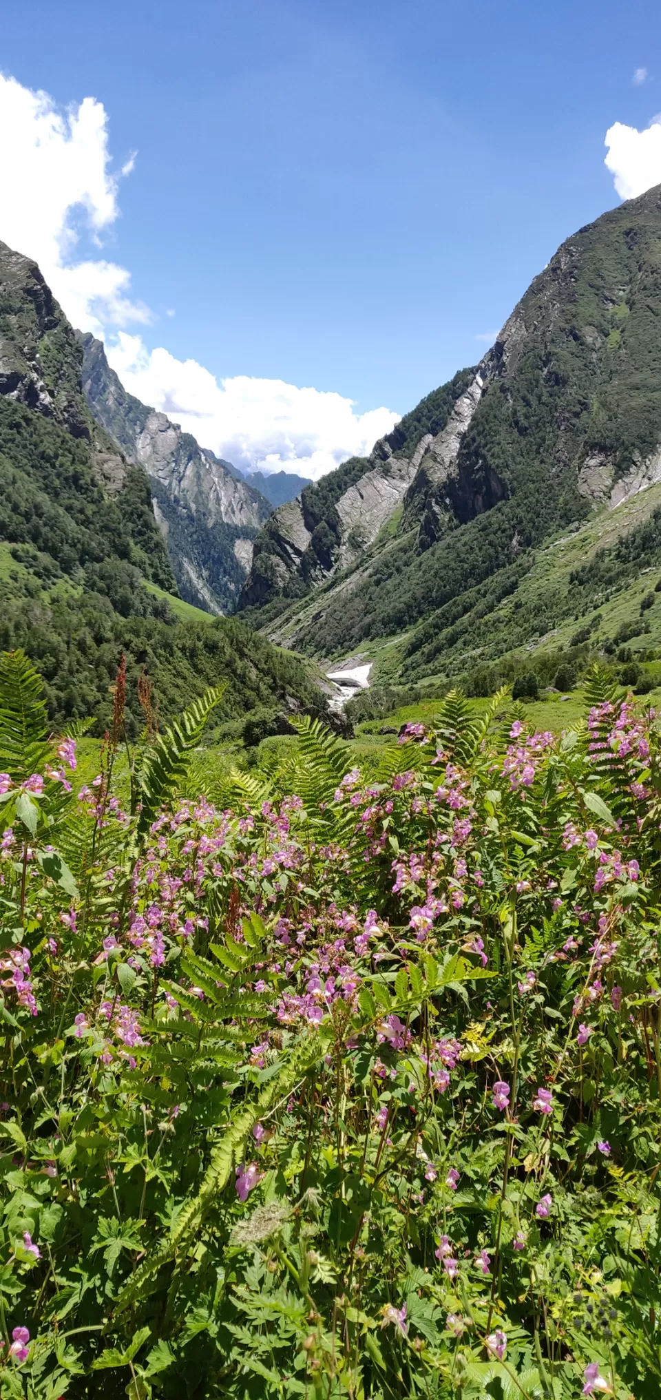 Photo of Valley of flowers Trek (Unforgettable experience) #viewfromthetop by Anant Singh Rajput