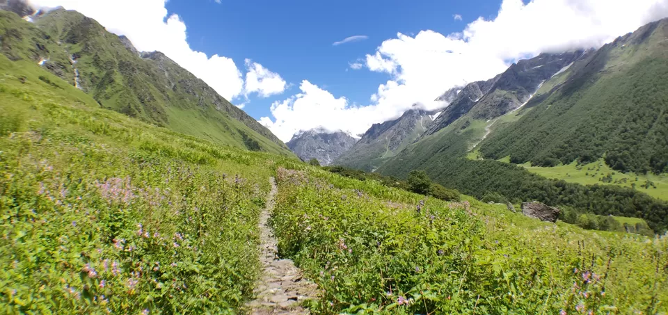 Photo of Valley of flowers Trek (Unforgettable experience) #viewfromthetop by Anant Singh Rajput