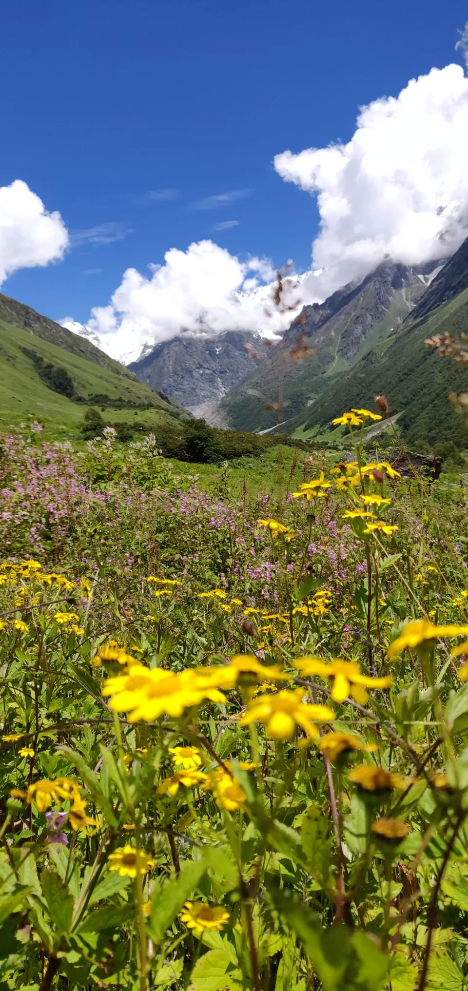 Photo of Valley of flowers Trek (Unforgettable experience) #viewfromthetop by Anant Singh Rajput