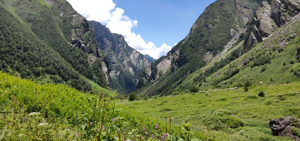 Photo of Valley of flowers Trek (Unforgettable experience) #viewfromthetop by Anant Singh Rajput