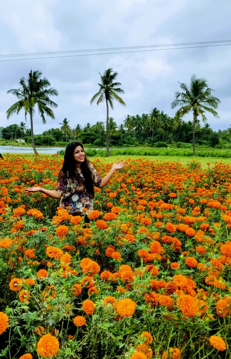 Photo of Trending on media as Mini Chickmangalore by Chandana Gowda