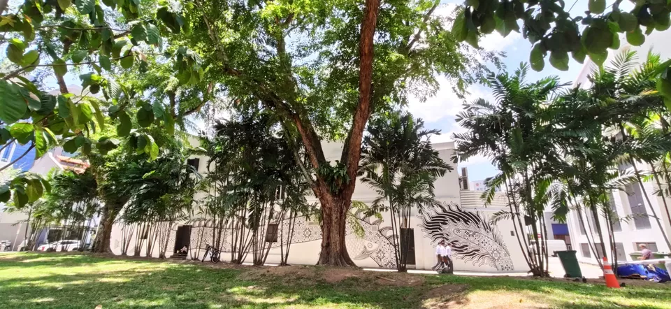 Photo of Chinatown, Singapore by The Globetrottersoul 