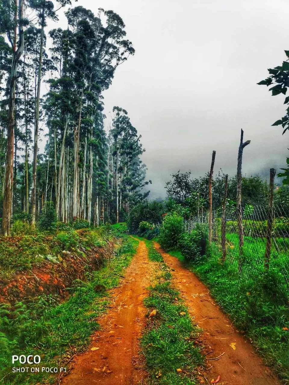 Photo of Kodaikanal: The Princess of hill-stations :) by Prady Das (InstaPrady)