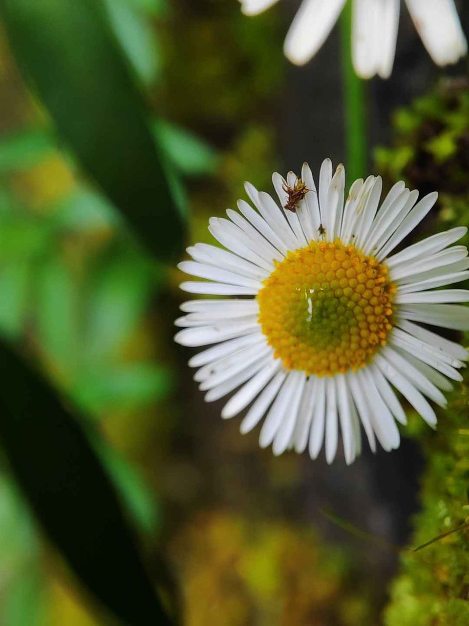 Photo of Kodaikanal: The Princess of hill-stations :) by Prady Das (InstaPrady)