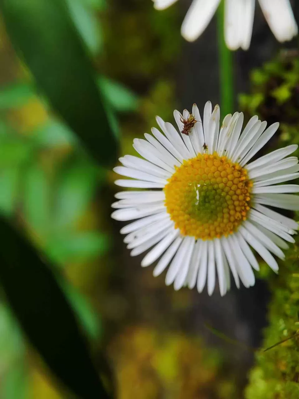Photo of Kodaikanal: The Princess of hill-stations :) by Prady Das (InstaPrady)