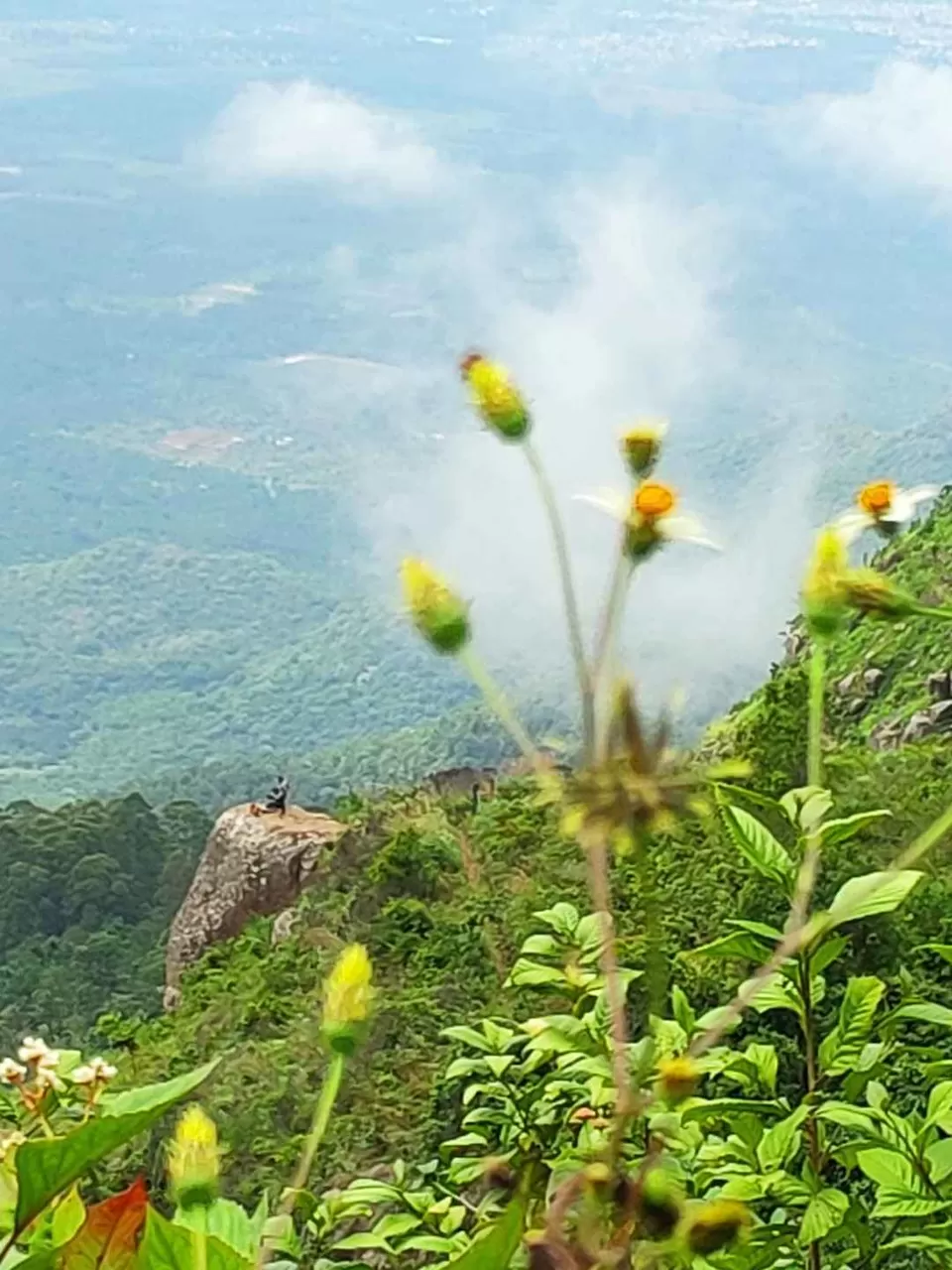 Photo of Kodaikanal: The Princess of hill-stations :) by Prady Das (InstaPrady)