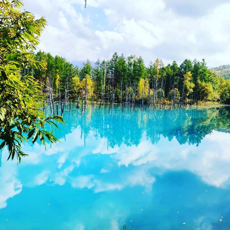 Photo of Hokkaido (Noboribetsu, Sapporo,Biei & Furano) by Neetha kopparam