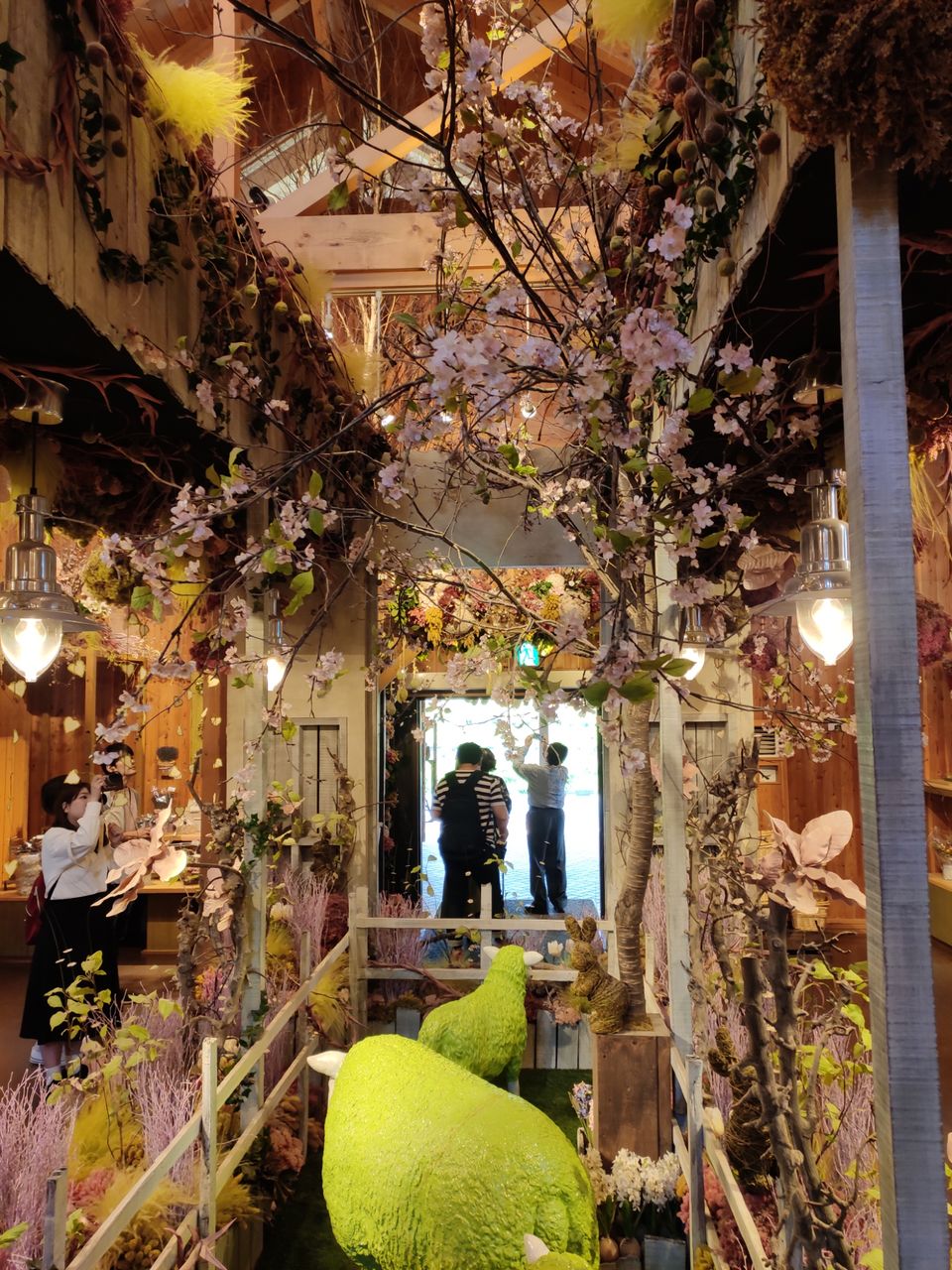 Photo of Hokkaido (Noboribetsu, Sapporo,Biei & Furano) by Neetha kopparam