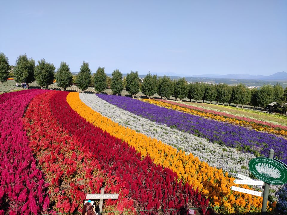 Photo of Hokkaido (Noboribetsu, Sapporo,Biei & Furano) by Neetha kopparam