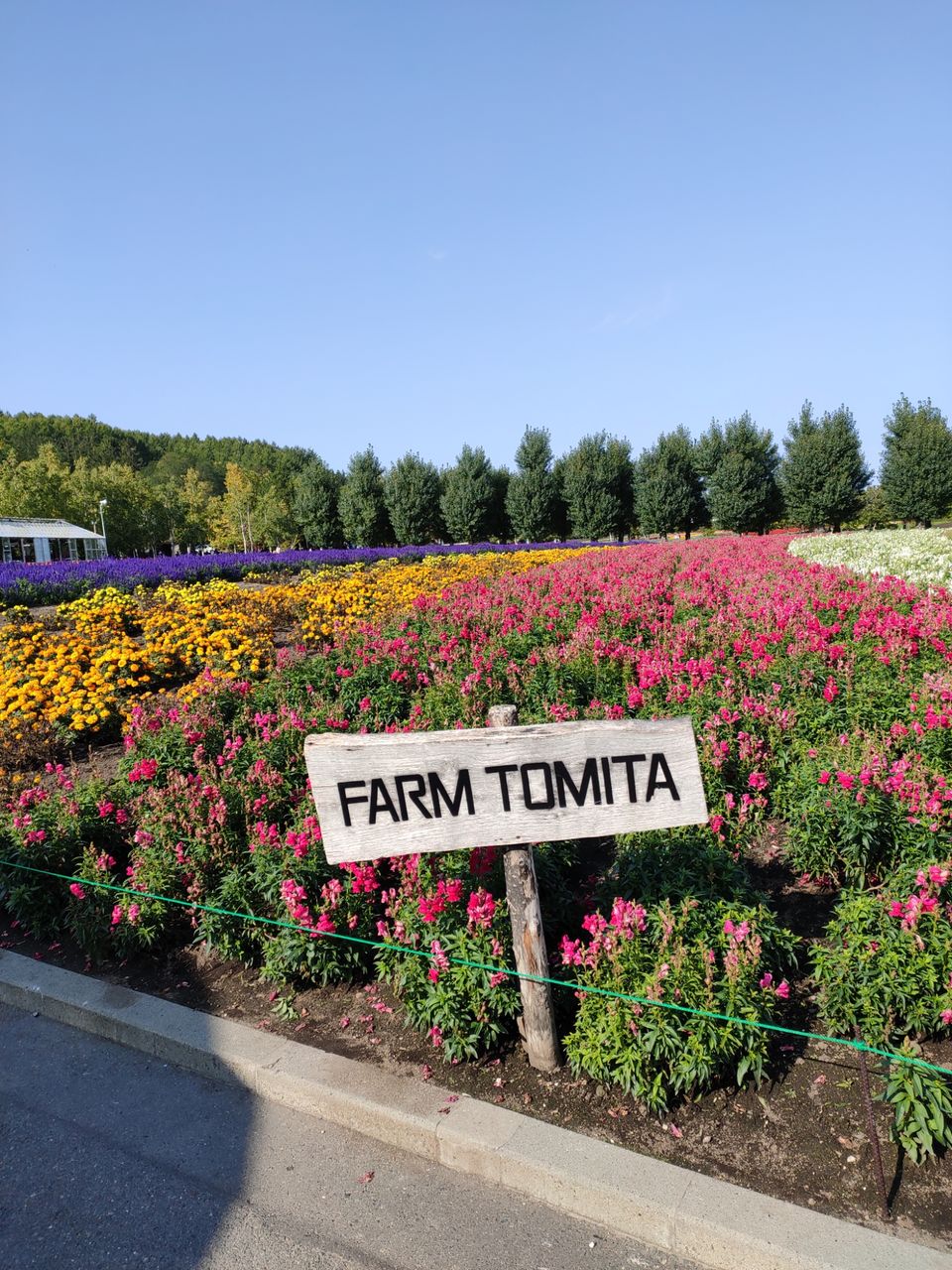 Photo of Hokkaido (Noboribetsu, Sapporo,Biei & Furano) by Neetha kopparam