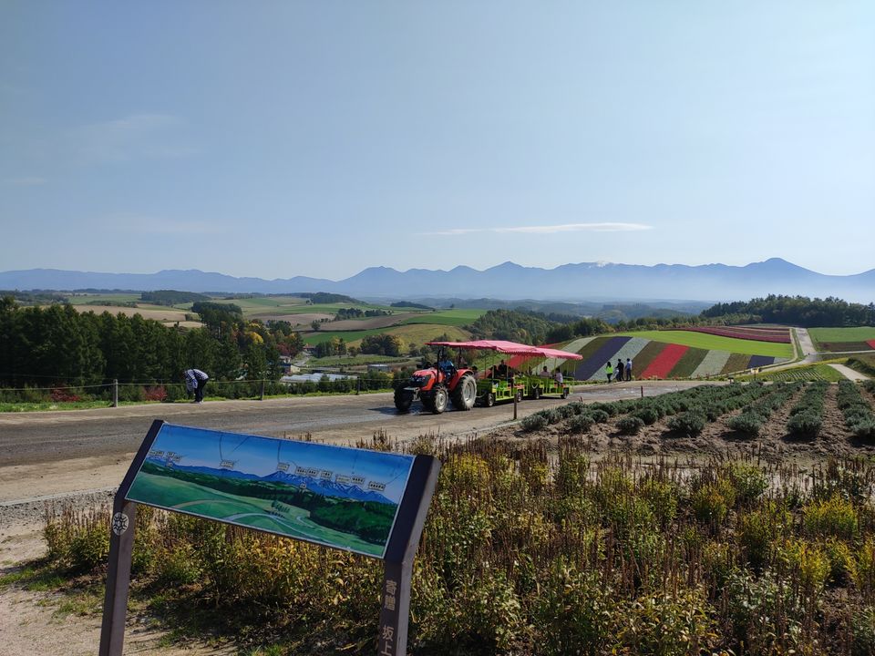 Photo of Hokkaido (Noboribetsu, Sapporo,Biei & Furano) by Neetha kopparam
