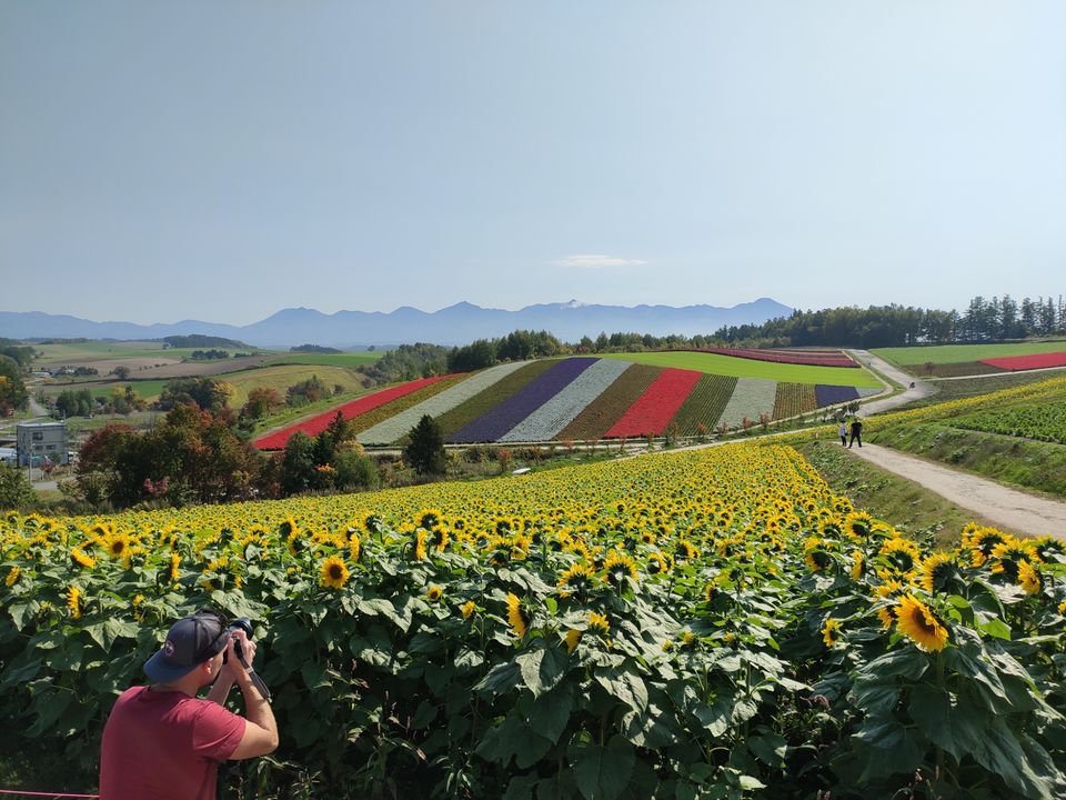 Photo of Hokkaido (Noboribetsu, Sapporo,Biei & Furano) by Neetha kopparam