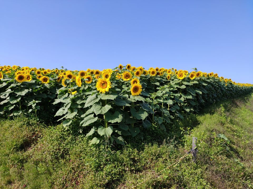 Photo of Hokkaido (Noboribetsu, Sapporo,Biei & Furano) by Neetha kopparam