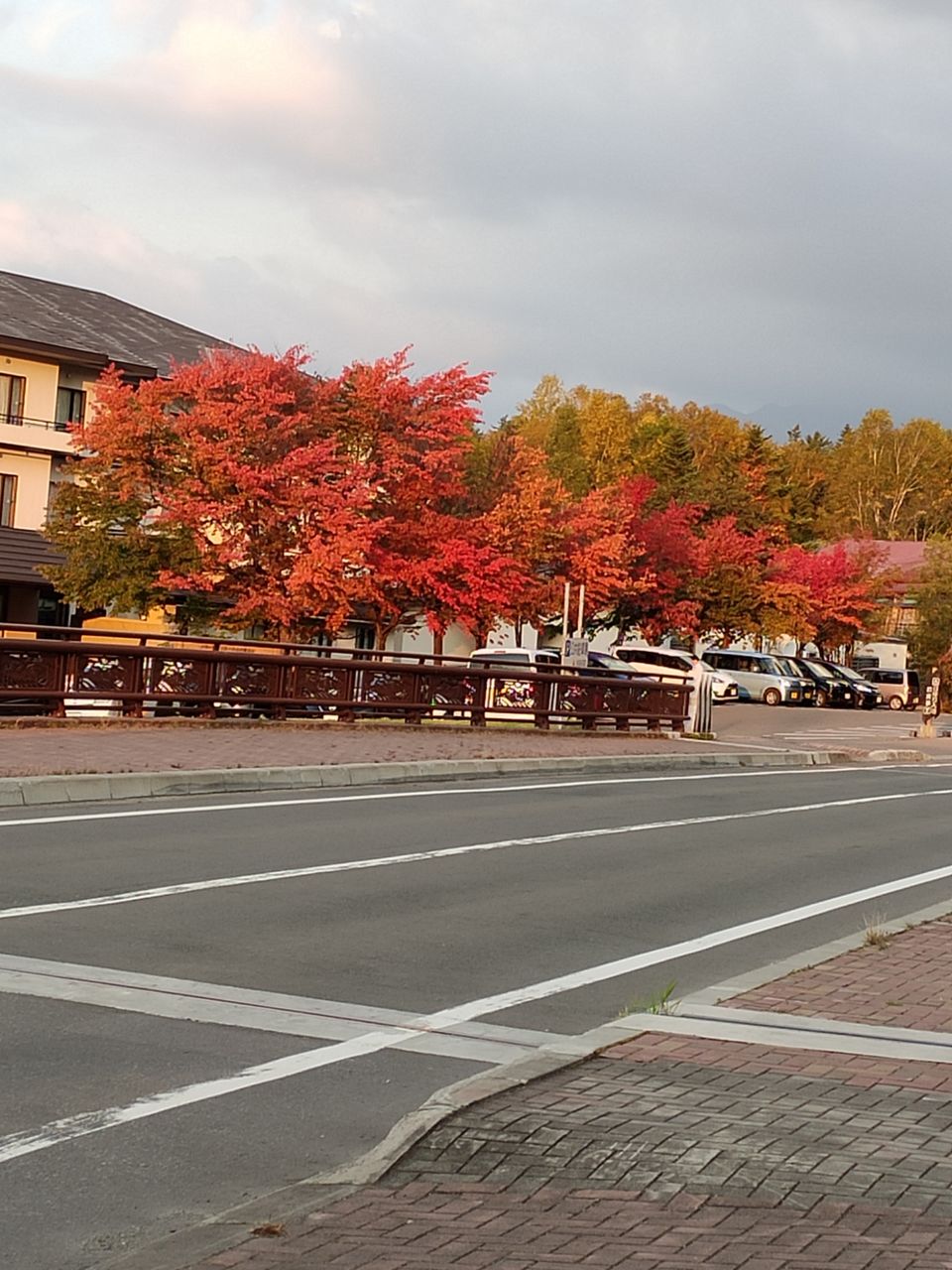 Photo of Hokkaido (Noboribetsu, Sapporo,Biei & Furano) by Neetha kopparam
