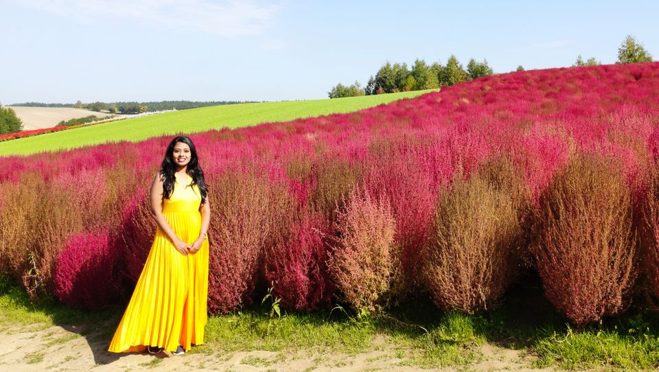 Photo of Hokkaido (Noboribetsu, Sapporo,Biei & Furano) by Neetha kopparam