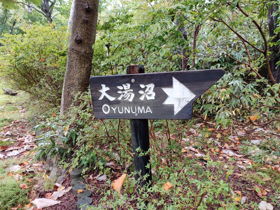 Photo of Hokkaido (Noboribetsu, Sapporo,Biei & Furano) by Neetha kopparam