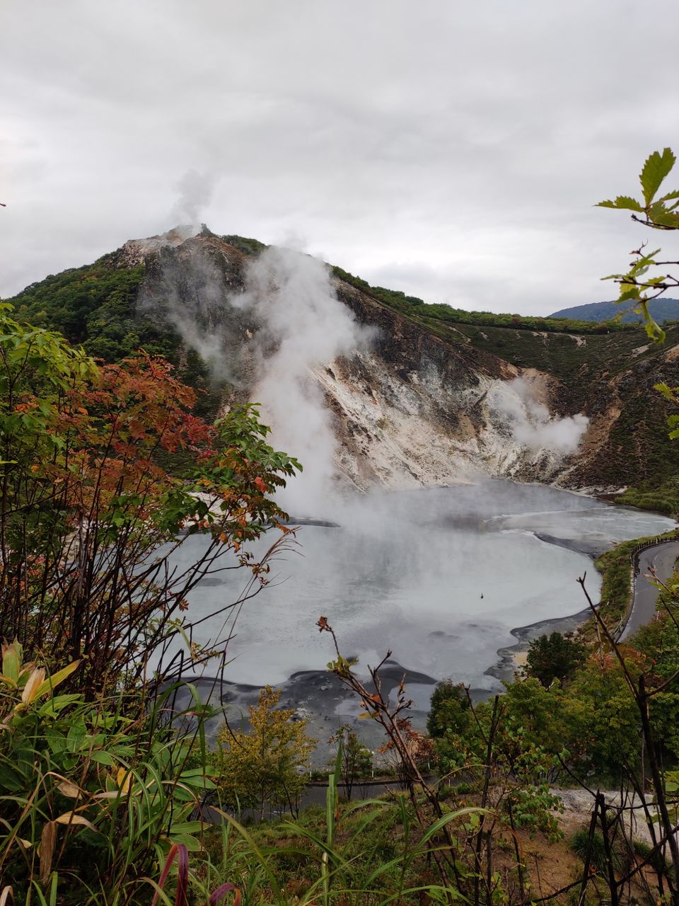 Photo of Hokkaido (Noboribetsu, Sapporo,Biei & Furano) by Neetha kopparam