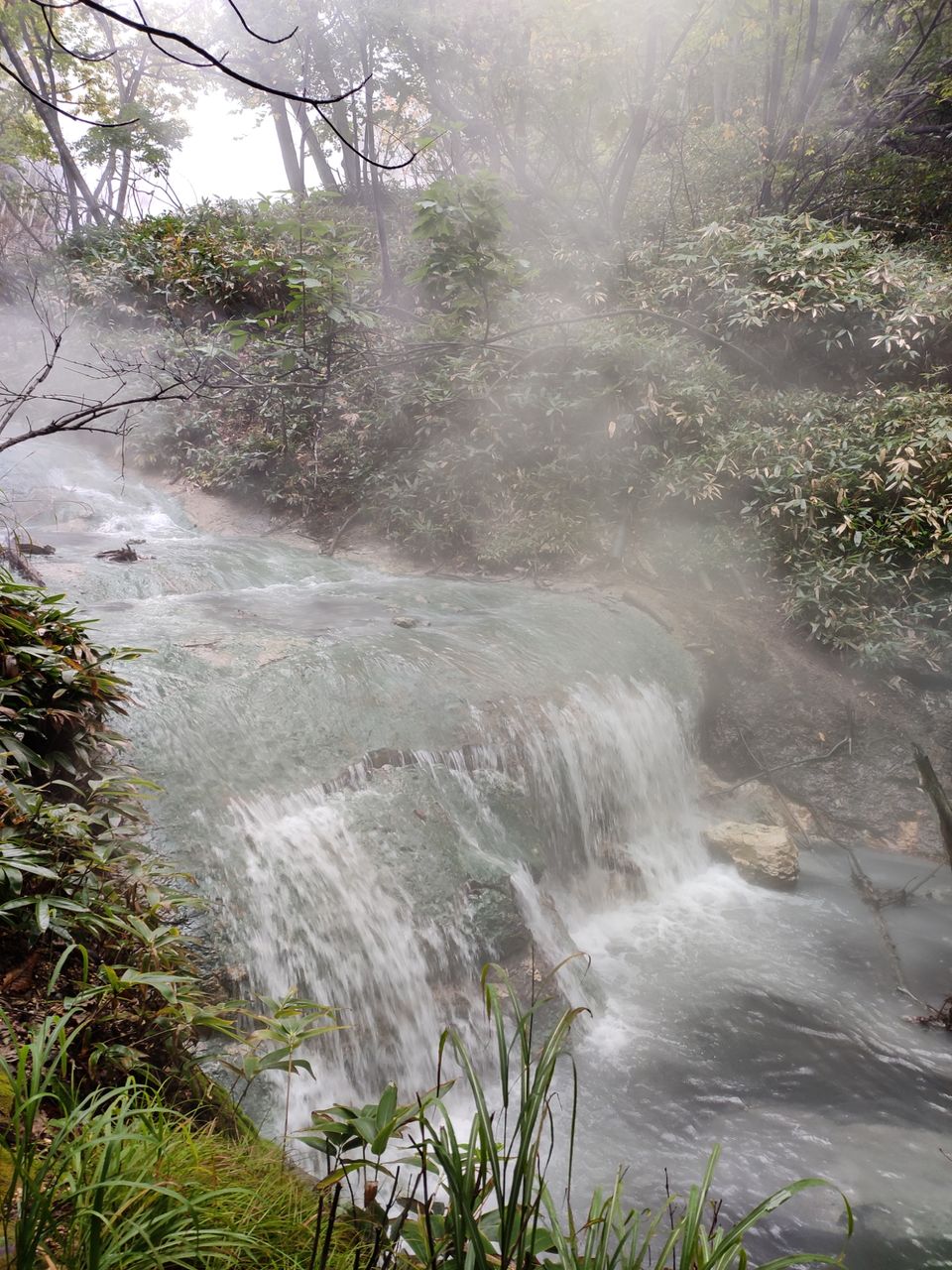 Photo of Hokkaido (Noboribetsu, Sapporo,Biei & Furano) by Neetha kopparam