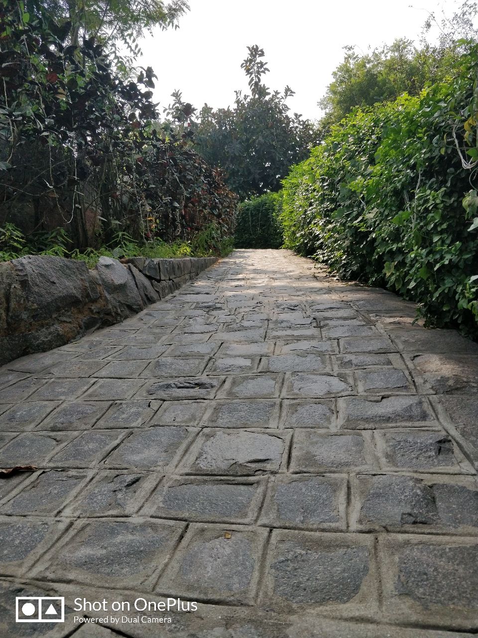 Photo of Ahinsa Sthal, Anuvrat Marg, Qila Rai Pithora, Mehrauli, New Delhi, Delhi, India by Aman jain