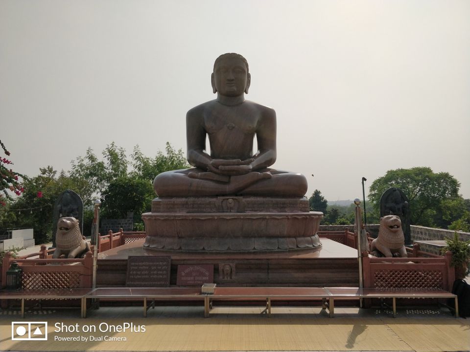 Photo of Ahinsa Sthal, Anuvrat Marg, Qila Rai Pithora, Mehrauli, New Delhi, Delhi, India by Aman jain