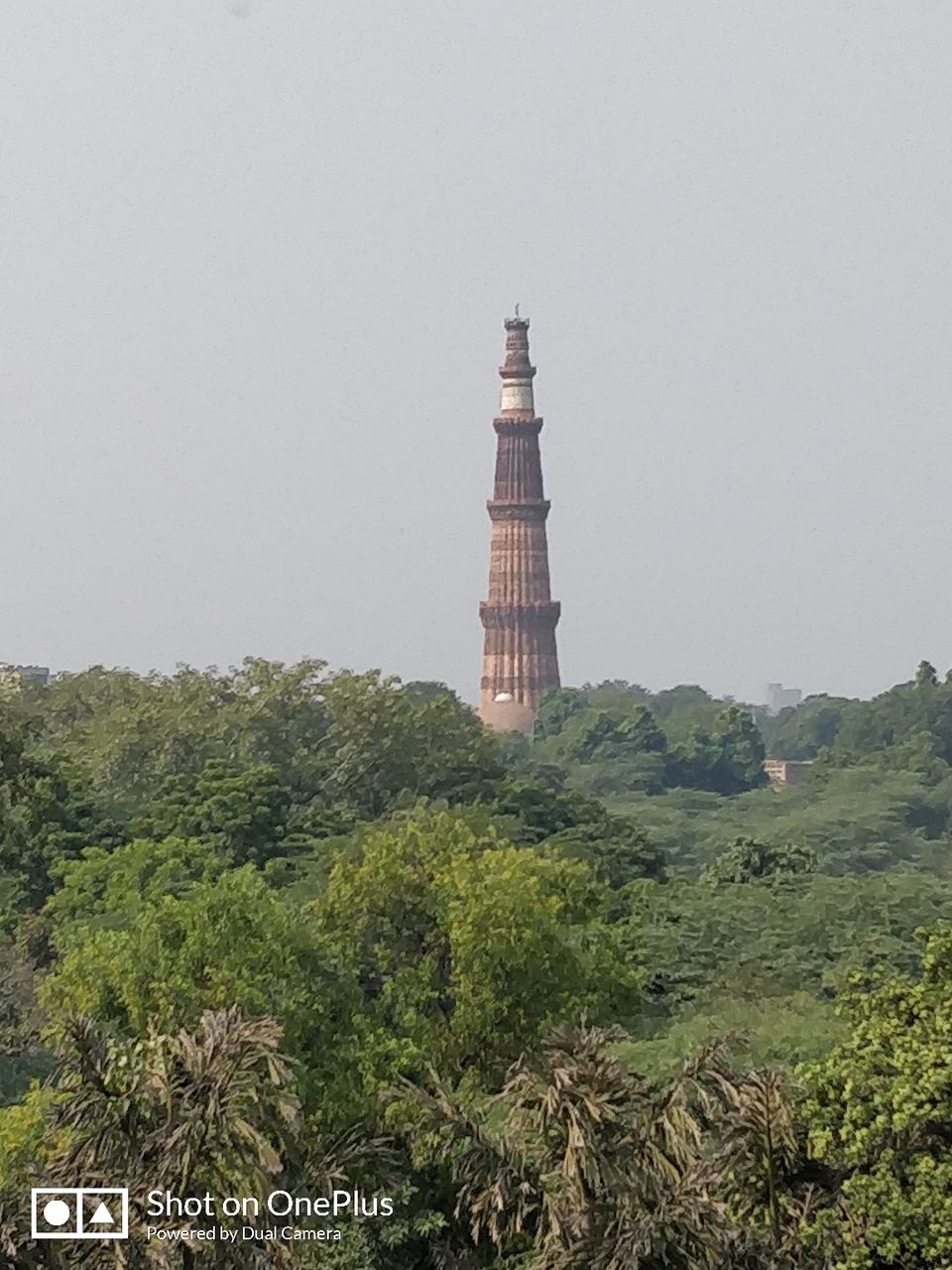 Photo of Ahinsa Sthal, Anuvrat Marg, Qila Rai Pithora, Mehrauli, New Delhi, Delhi, India by Aman jain
