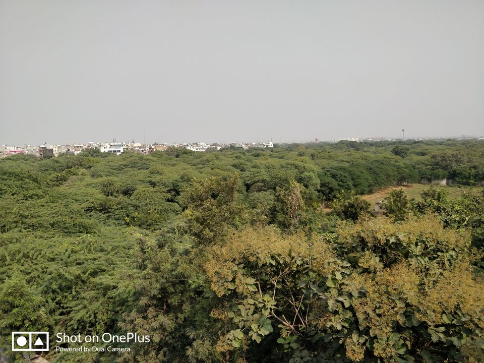 Photo of Ahinsa Sthal, Anuvrat Marg, Qila Rai Pithora, Mehrauli, New Delhi, Delhi, India by Aman jain