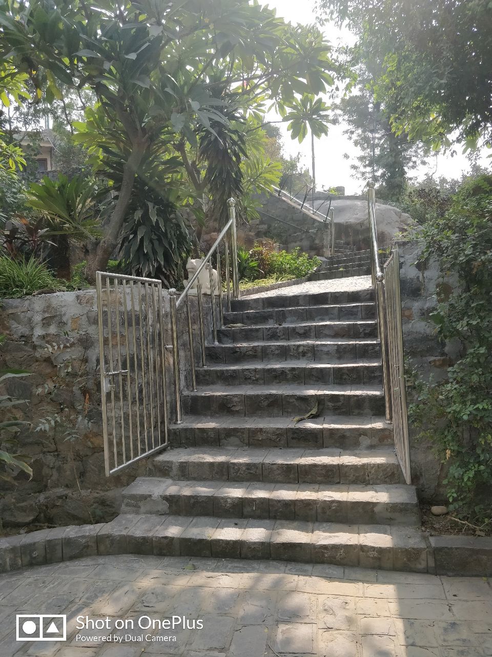 Photo of Ahinsa Sthal, Anuvrat Marg, Qila Rai Pithora, Mehrauli, New Delhi, Delhi, India by Aman jain