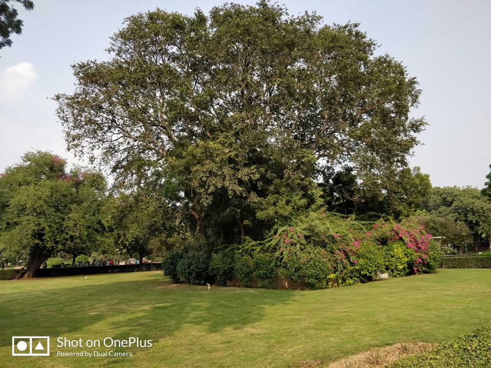 Photo of Exploring Delhi by Aman jain