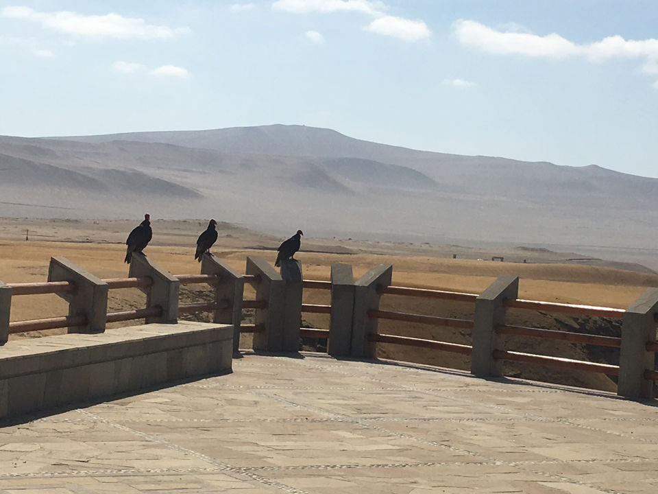 Photo of Peru: the Posh, the Wild and the Ancient - Part 1: Lima to Arequipa by andreea badescu