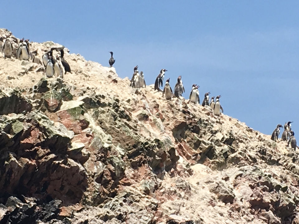 Photo of Peru: the Posh, the Wild and the Ancient - Part 1: Lima to Arequipa by andreea badescu