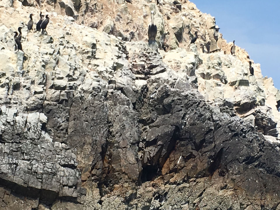 Photo of Peru: the Posh, the Wild and the Ancient - Part 1: Lima to Arequipa by andreea badescu