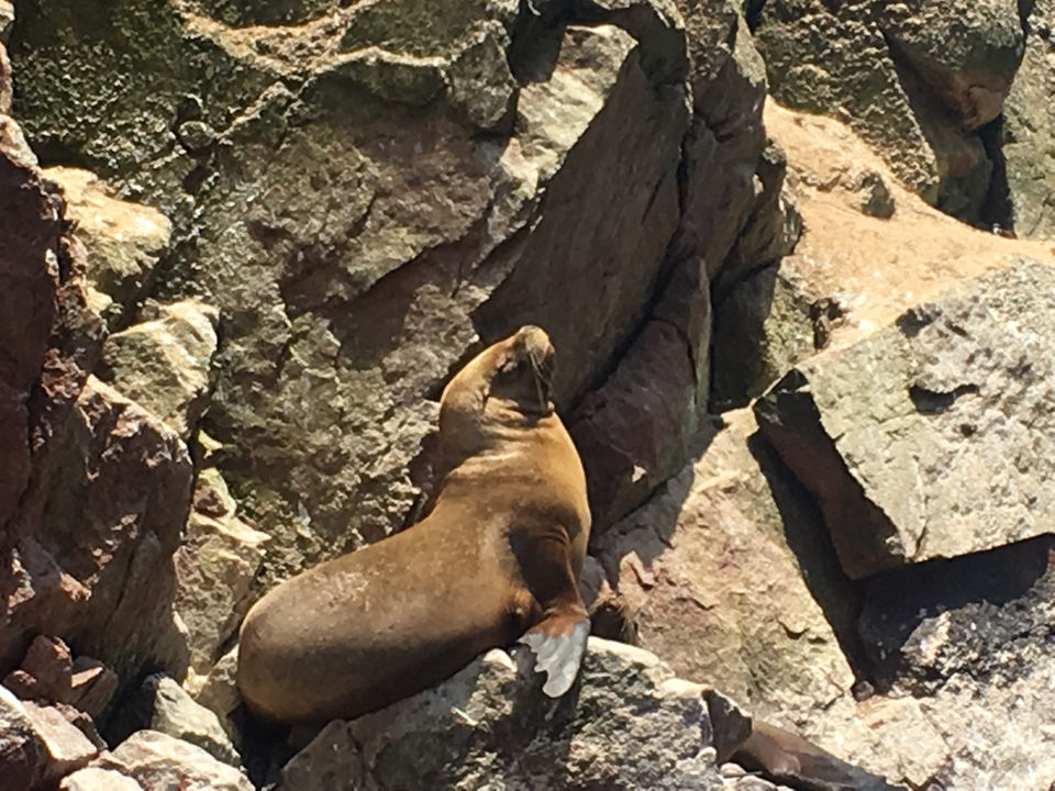 Photo of Peru: the Posh, the Wild and the Ancient - Part 1: Lima to Arequipa by andreea badescu