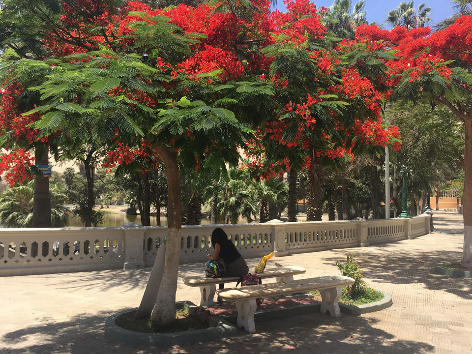 Photo of Peru: the Posh, the Wild and the Ancient - Part 1: Lima to Arequipa by andreea badescu