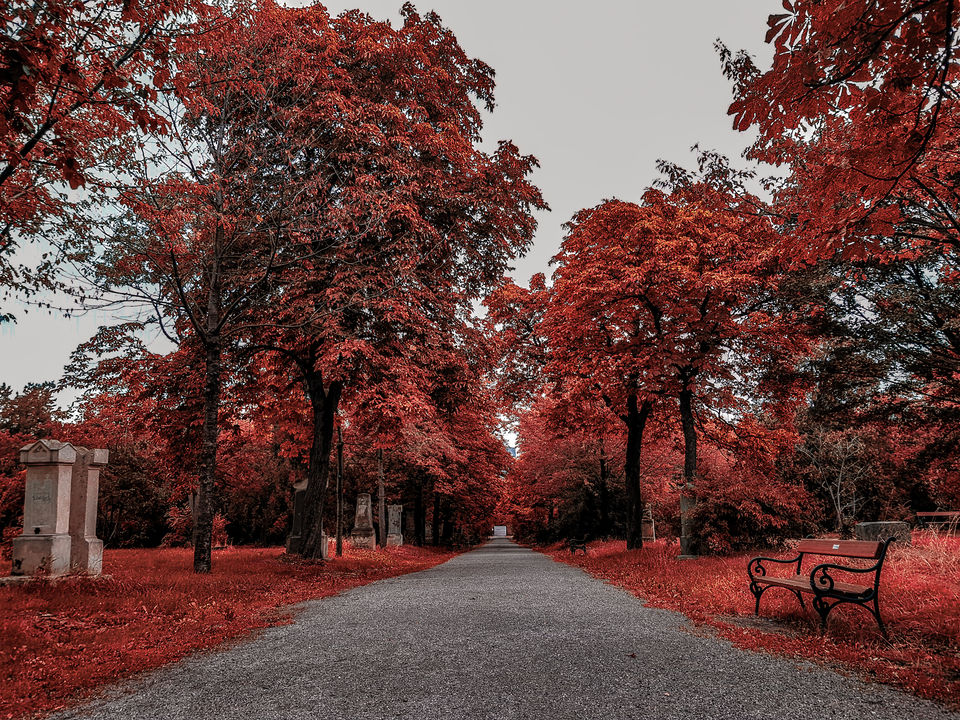 Photo of How to plan your first Europe Trip! 8/9 by Anurag Verma