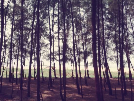 Photo of Chootad Beach, Puthiyangadi Main Road, Kannur, Kerala, India by Rithi