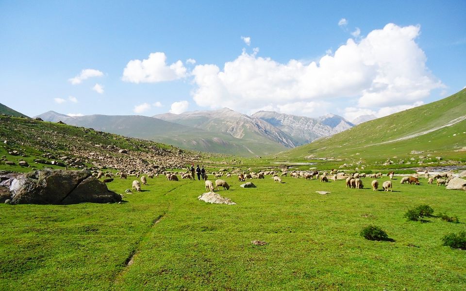Photo of Kashmir Great Lakes Trek - Heaven on Earth experience by Nazir Usman