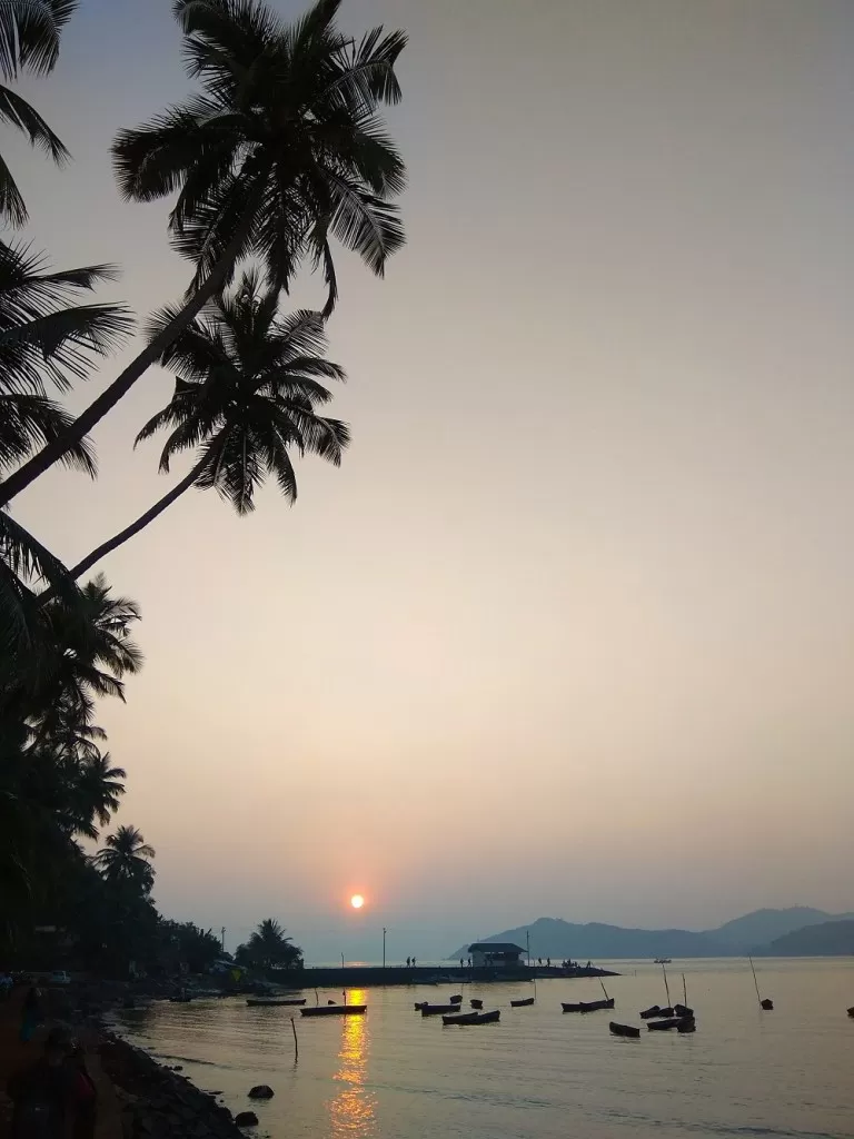 Photo of Aghanashini, Karnataka, India by Nazir Usman