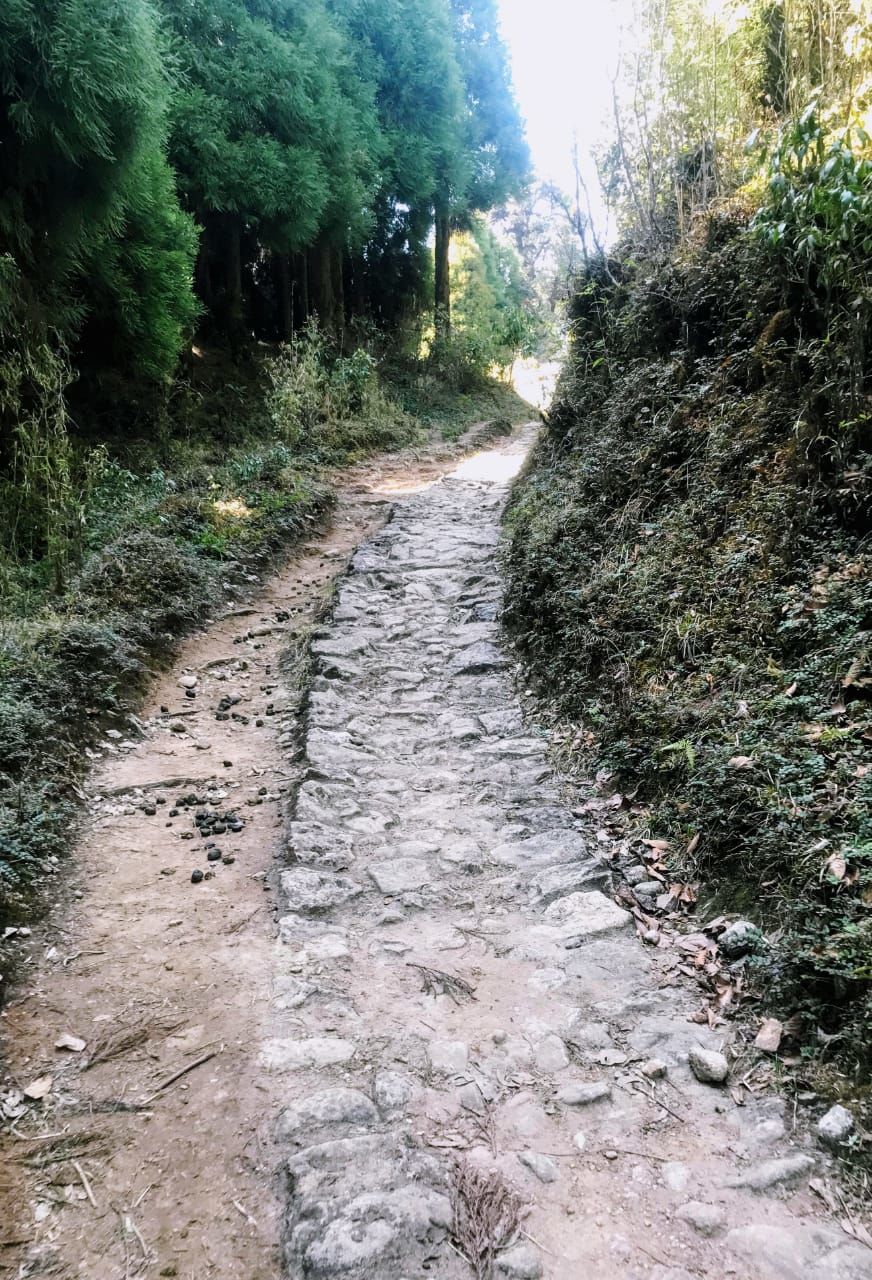 Photo of Sandakphu, Sandakfu, Sandakhphu, West Bengal, India by Sparsh Goyal