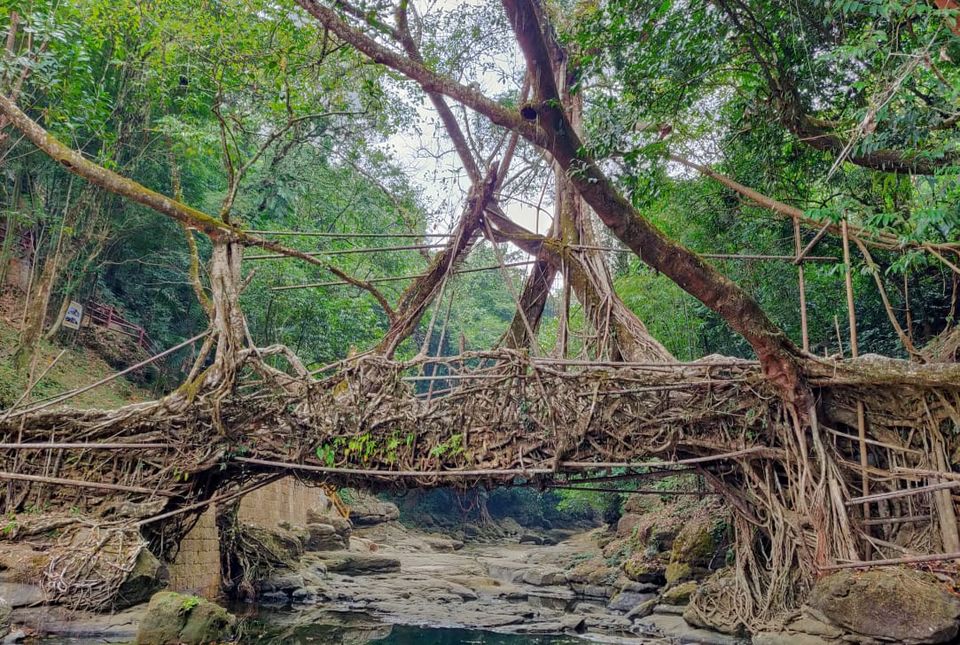 Photo of Mawlynnong: A Hidden Gem! by Sparsh Goyal