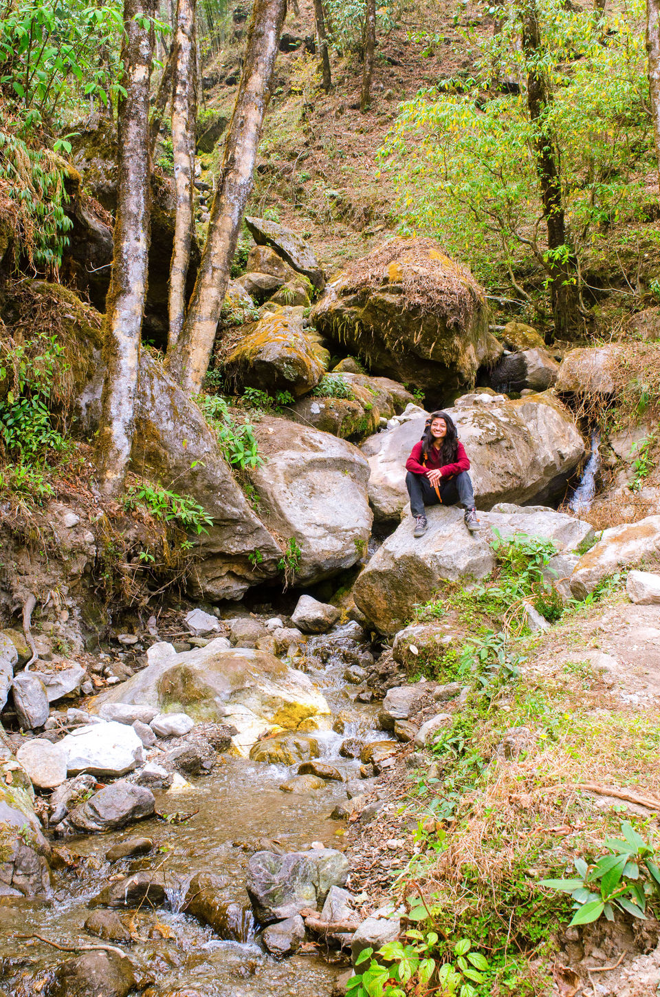 Photo of Phalut, Singalila Forest by Sparsh Goyal