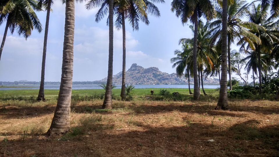 Photo of Sultan Bathery, Kerala, India by Mahesh iyyer