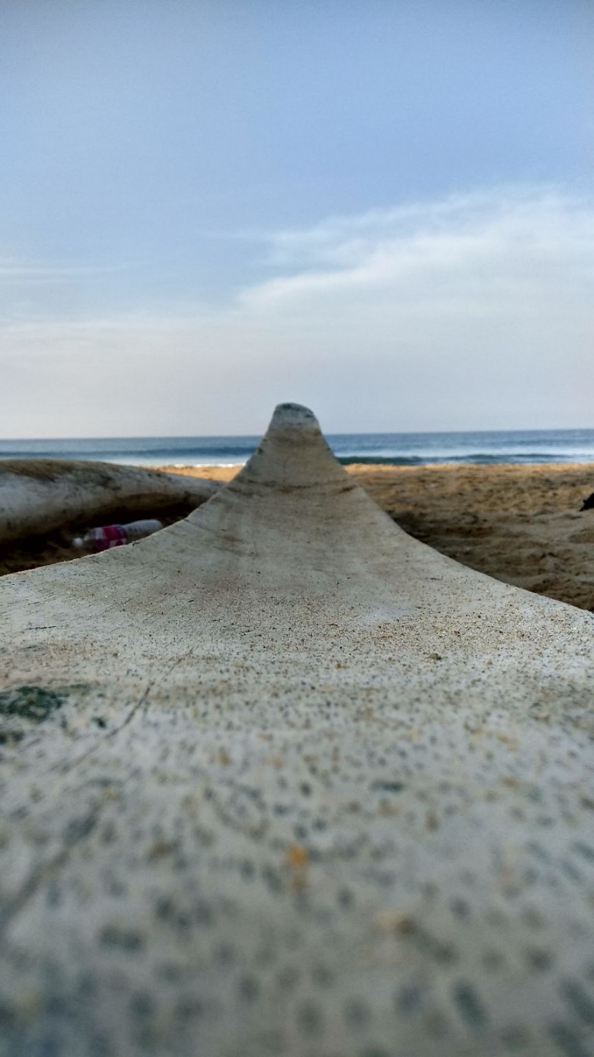 Photo of Kanyakumari, Tamil Nadu, India by Mahesh iyyer