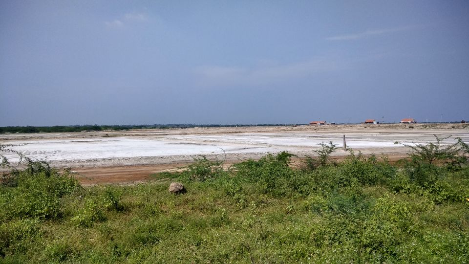 Photo of Madurai, Tamil Nadu, India by Mahesh iyyer