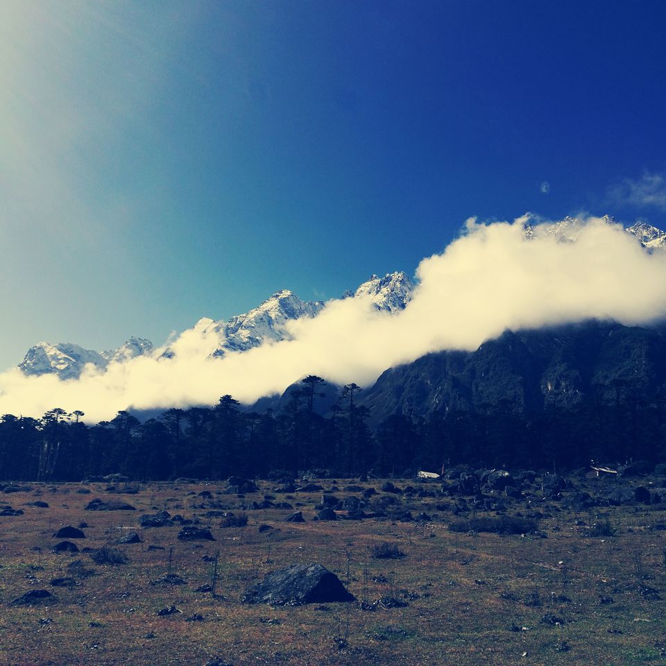 Photo of Journey to Paradise: Lachung & Yumthang, North Sikkim by Arka Paul