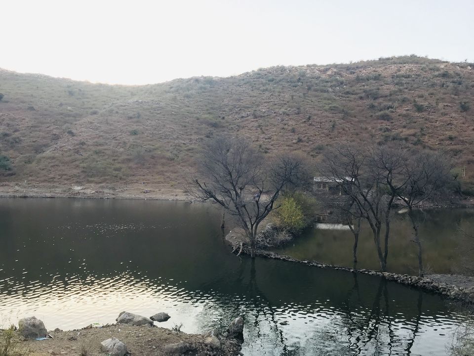 Photo of A photo tale of 5 Cities of Rajasthan, 10 days trip by Dibyajyoti Nayak