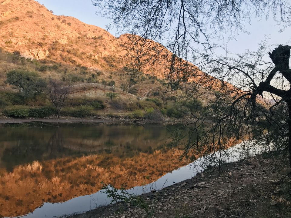 Photo of A photo tale of 5 Cities of Rajasthan, 10 days trip by Dibyajyoti Nayak