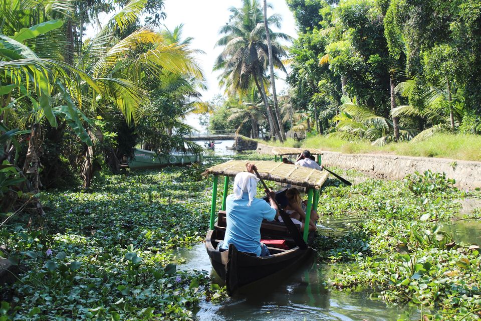 Photo of 6 Reasons why you must visit kerala by Vinay Chelwani